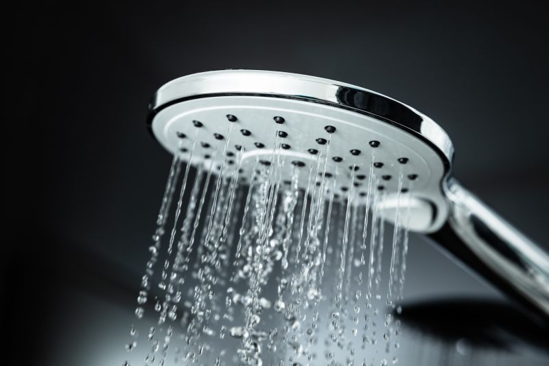 Spa-Style Shower Head